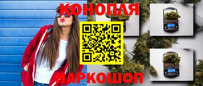тгк Славянск-на-Кубани