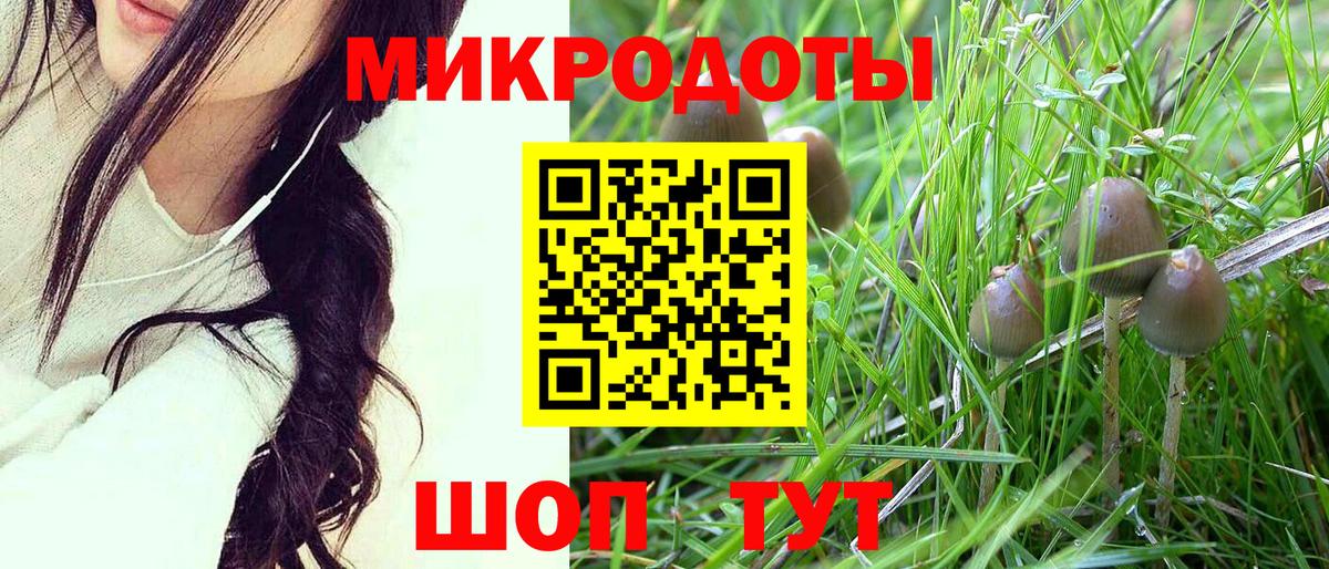 Чайковский  Псилоцибиновые грибы MAGIC MUSHROOMS  Псилоцибиновые грибы GOLDEN TEACHER  Вход с VPN 