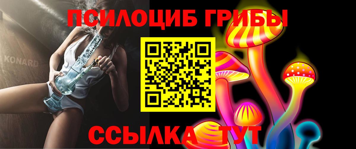 Галлюциногенные грибы Psilocybe Чайковский